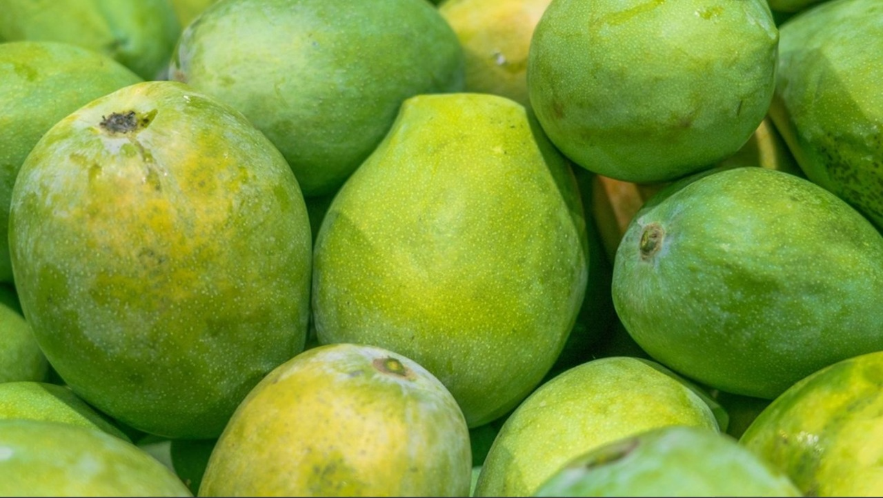 Rajapuri Mango